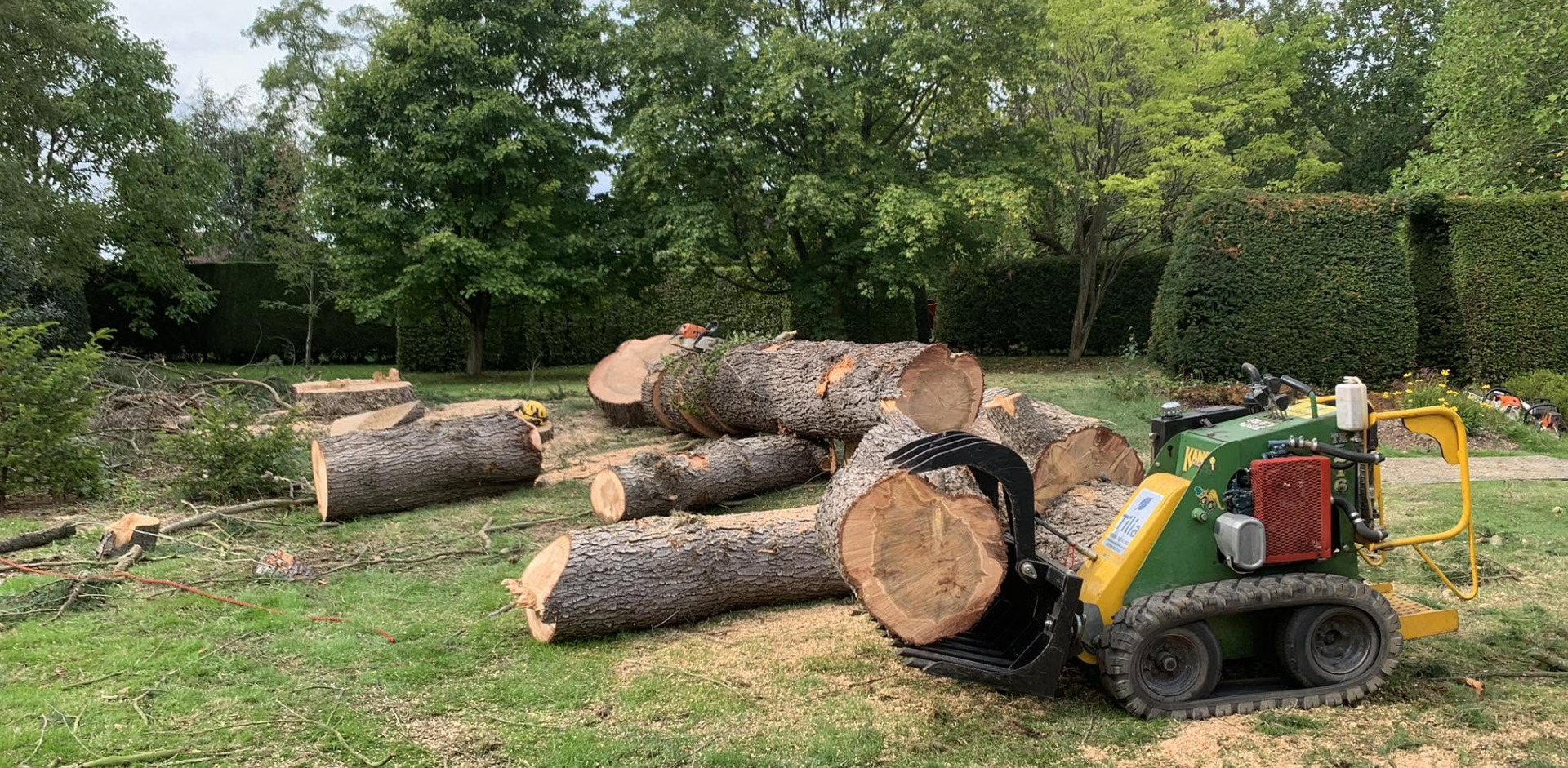 Tilia pro ltd