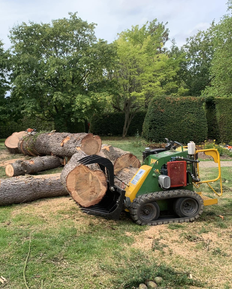 Tilia pro ltd